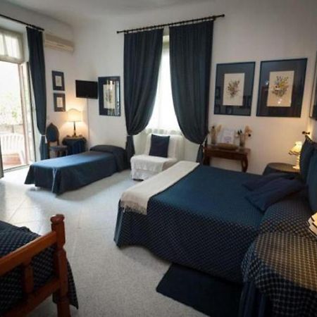 A Casa Di Serena A San Pietro Roma Bagian luar foto